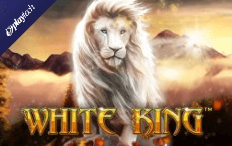 slot machine online